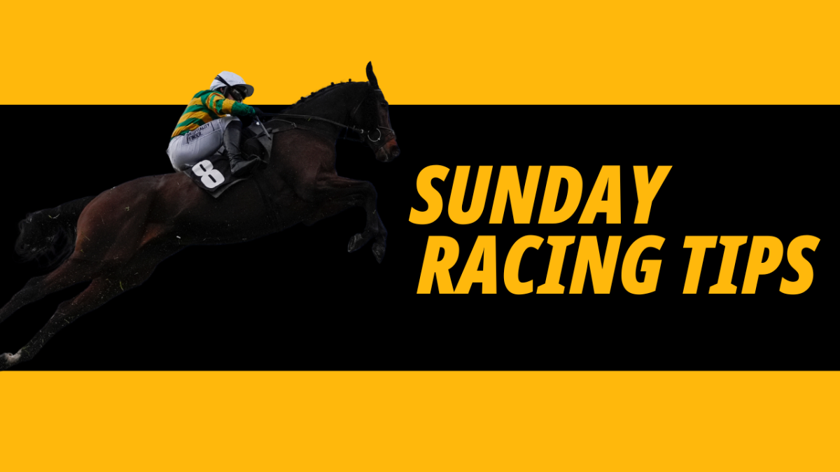 Horse racing tips from Timeform